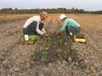 Vivienne i Boudewijn